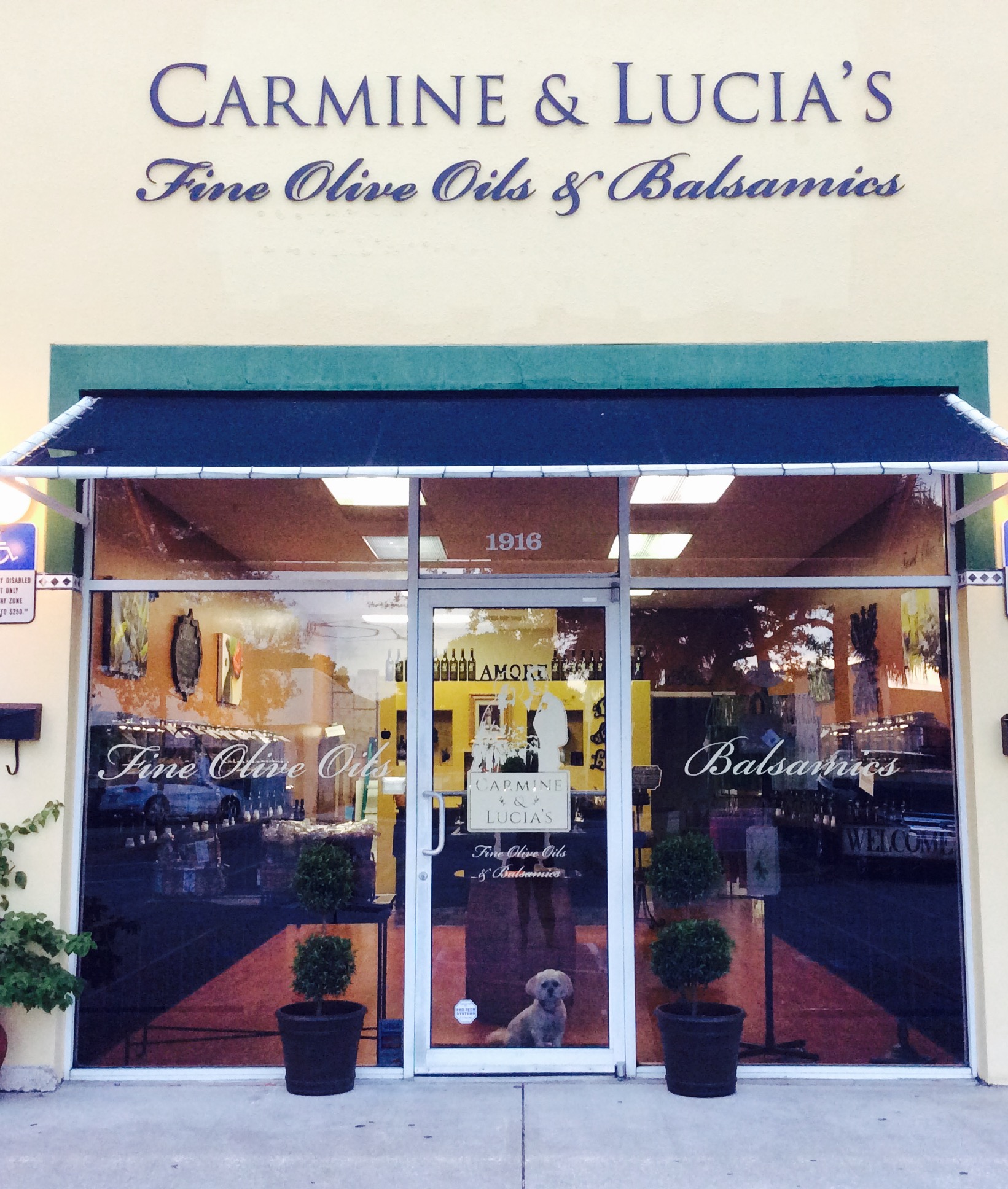 Carmine and Lucia's Fine Olive Oil and Balsamics